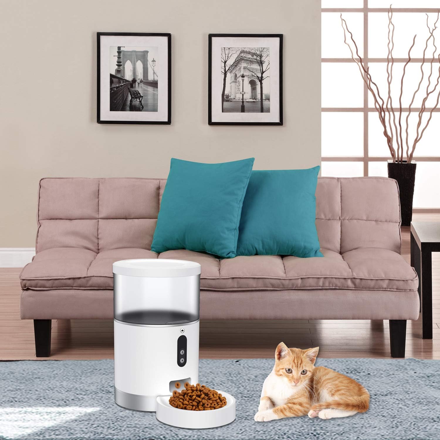 Peteme Automatic Cat Feeder 4L, Smart Pet Feeder Food Dispenser for Cats, Dogs & Small Pets, App Portion Control and Scheduled Feeding, Voice Recorder, Compatible with Alexa, 2.4G Wi-Fi : Kitchen & Dining