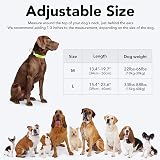 KOSKILL Light Up Dog Collar USB Rechargeable Waterproof Green M view 6