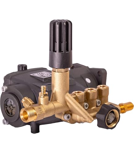 Amazon.com : 90037 Simpson AAA Horizontal Triplex Plunger