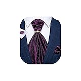 DiBanGu Ascot Ties for Men Purple Paisley Mens