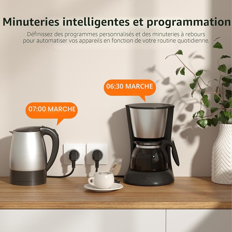 S60ZBTPF Prise Intelligente Zigbee à relais, Blanc/Gris, Contrôle à Distance, Suivi Énergétique, Programmation, Protection contre les Surcharges, Répéteur, eWeLink, Hub Requis, 2 pièces