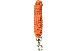 Hamilton PL58B MA Poly Lead with Bolt Snap, Mango Orange, 5/8-Inch Thick x 10-Feet Long
