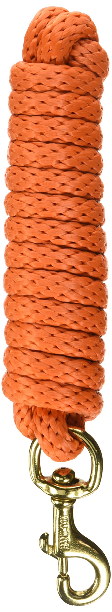Hamilton Poly Lead with Bolt Snap, 10 ft, Mango Orange