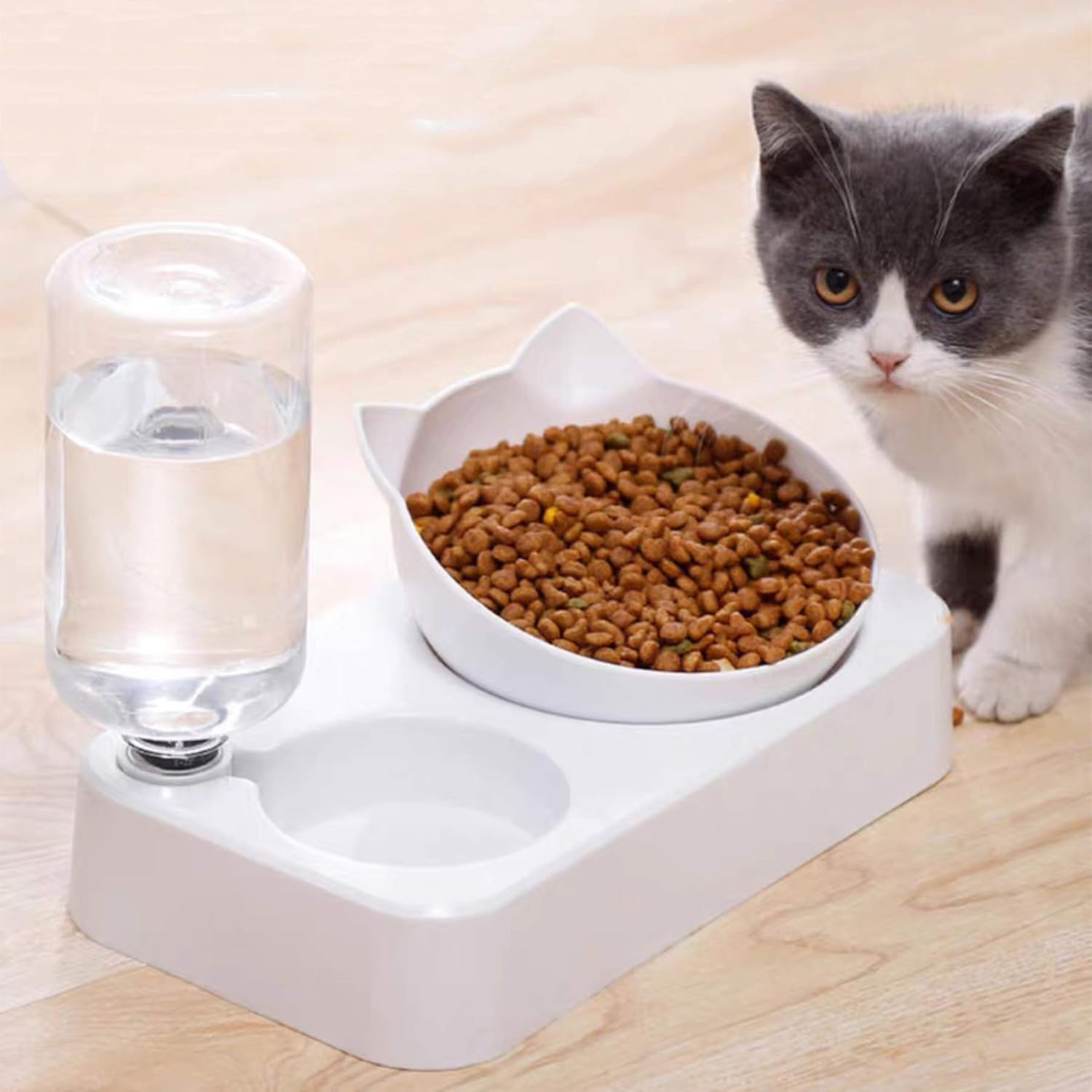 best cat food and water bowls