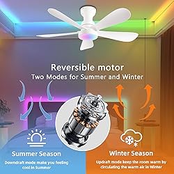 NKPU 42 Inch Ceiling Fans with Lights and