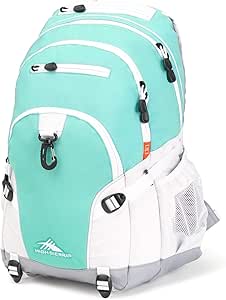 high sierra brees backpack