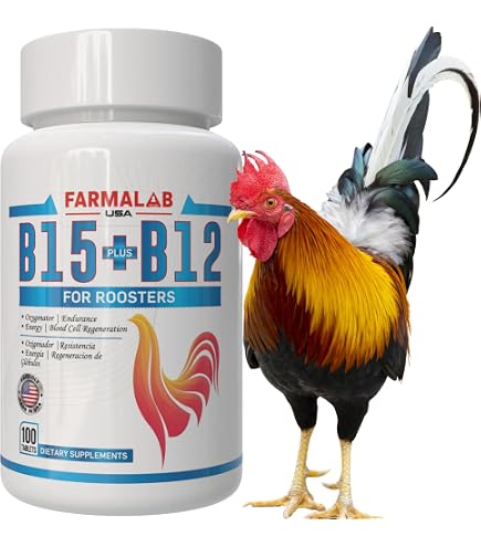 Amazon.com: VITOFARMA B12 5500 20ml Restorative Muscle Mass Optimal Weight  Training Support Booster for Rooster - Suplemento para Gallos b12 20 ml (20  ml) : Health & Household