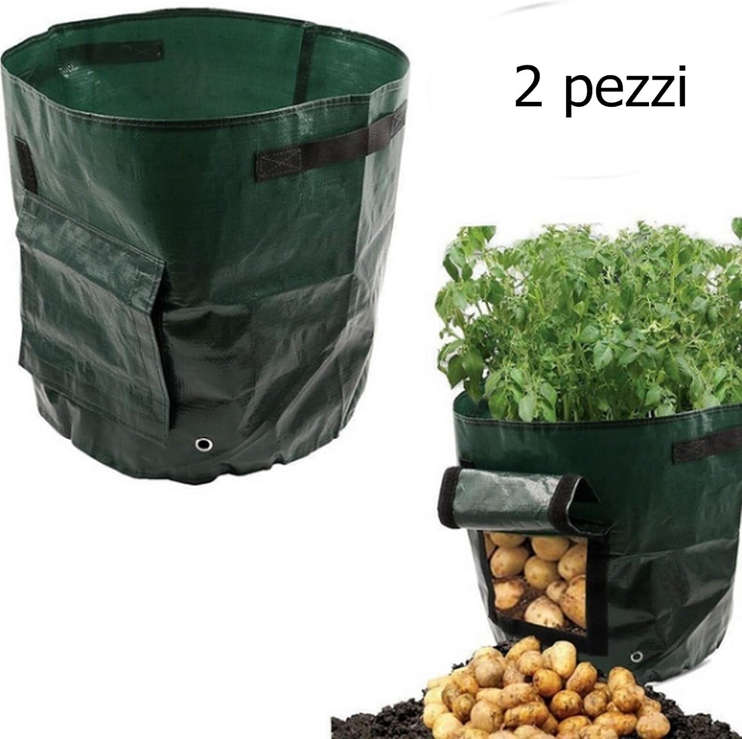PICCOLI MONELLI Bolsa de Papas en Crecimiento Vegetales Vegetales ...