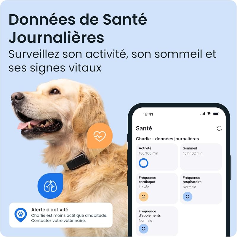 – Collier GPS Chien Connecté, Bundle avec Coque Olive | Édition 2025 | Localisation GPS en Direct | Alertes Anti-fugue et de Santé | Moniteur de Signes Vitaux | Leader du Marché (Noir)