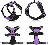 rabbitgoo Small Dog Harness No Pull Reflective with 2 Leash Clips Purple S view 9