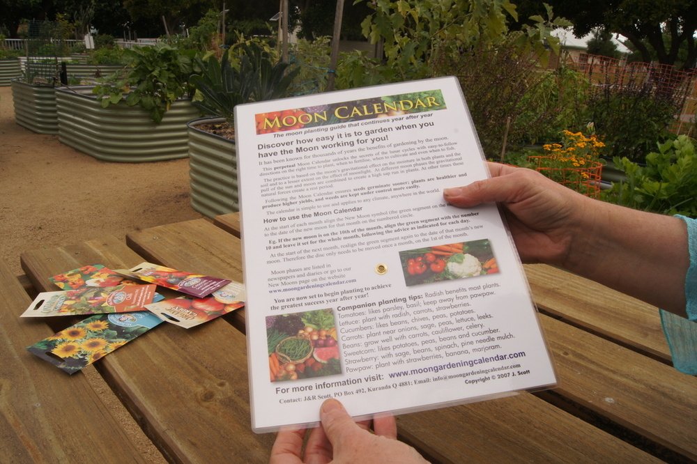 laminated perpetual lunar moon calendar planting guide double sided sustainable buy once use year after year 365 the micro gardener amazon com books