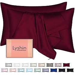Mulberry Silk Pillow Cases 2 Pack Queen Size 20x30