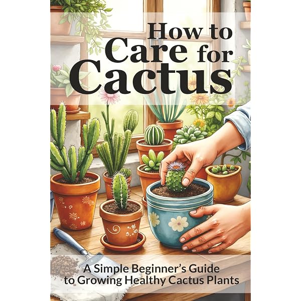 Cactus Plant Care For Beginners: The only book you need for caring and  growing the humble cactus whether your new to house plants or you're an  experienced house parent: Plants, All Things: