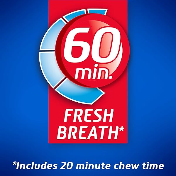 DENTYNE ICE PEPPERMINT SUGAR-FREE CHEWING GUM, 6 BOTTLES OF 60 PIECES (360 TOTAL PIECES)