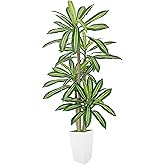 Lovaplants Artificial Dracaena Tree 6ft, Fake Plant with White Tall Planter, Faux Yucca Floor Trees, Artificial Silk Plants for Home Office Room Decor Housewarming Gift Indoor