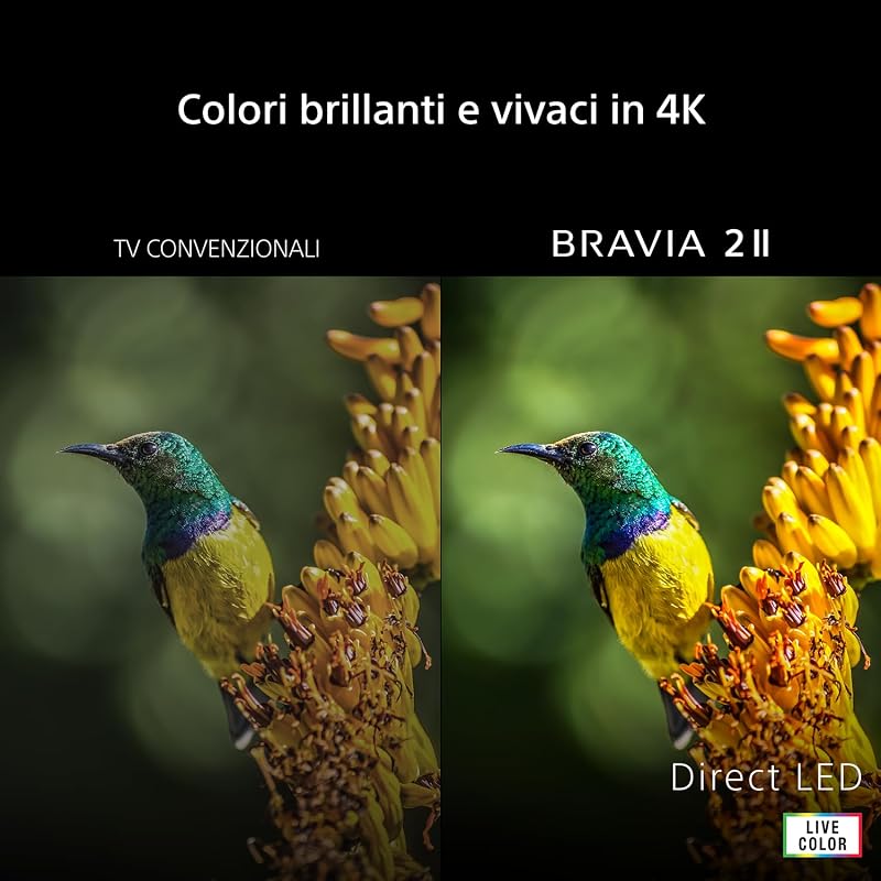 BRAVIA 2Ⅱ 75", 4K Smart TV (Google TV), Processore X1,4K Upscaling, Televisione con Dolby Atmos e DTS:X, compatibile con PS5, 75S20M2, Modello 2026