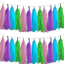 We Moment Blue Green Purple and Pink Tassel Garland