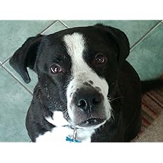 Will Lowrey Author Interview