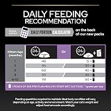 PRO PLAN Kitten 1-12M Healthy Start Dry Cat Food 3kg Chicken view 5