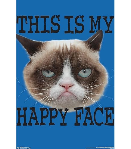 気難し屋の猫　Ultra Pro　Grumpy Cat Grumpy Cat Cozy Pouch | Ultra PRO International