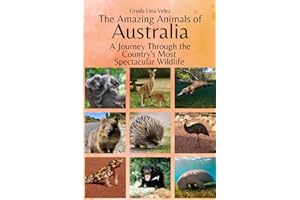 The Amazing Animals of Australia: A Journey Through the Region's Most Spectacular Wildlife
