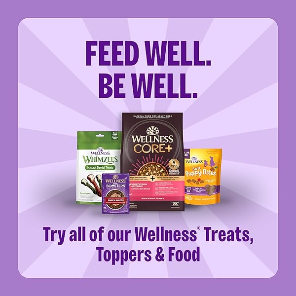 WELLNESS OLD MOTHER HUBBARD CLASSIC ORIGINAL MIX DOG BISCUITS, NATURAL TRAINING TREATS, 4 FLAVORS, MINI SIZE, 20 OZ BAG