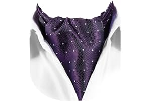 HISDERN Ascot Tie Mens Cravat Ties Floral Paisley Polka Dot Jacquard Self Ascots Cravat Scarf Wedding Party