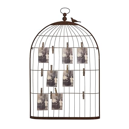 Fermez Vous Vers Le Haut De La Cage à Oiseaux Décorative Sur