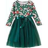 Niyage Girls Love Hearts Dress Toddler Baby Birthday Holiday Outfits Long Sleeve Tulle Tutu Princess Party Dresses