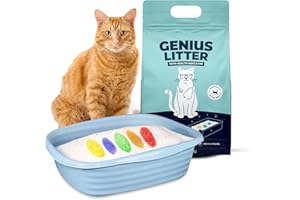Genius Litter Health Indicating Cat Litter with Non-Clumping Lightweight Color Changing Silica Gel Crystals As Seen on Shark Tank, Non Clumping, Super Absorbent Odor Control (1 Bag (6lb))