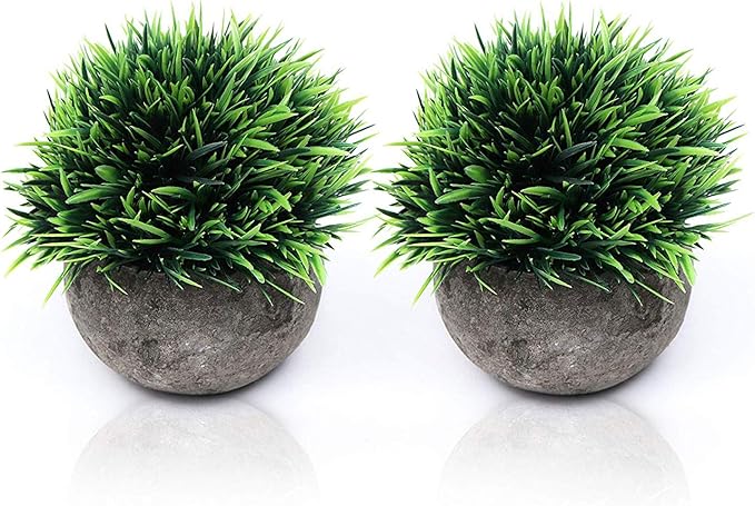 Belle Vous Plante Artificielle Lot De 2 Mini Fausse Plante Verte Avec Pots Gris 13 X 13 Cm Petite Plante Decorative Parfaite Pour La Decoration Interieur Maison Et Bureau Amazon Fr Cuisine Maison