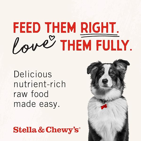 STELLA & CHEWY’S FREEZE-DRIED RAW LAMB HEART DOG TREATS – SINGLE INGREDIENT, NO ADDITIVES – PREMIUM TRAINING TREATS – PERFECT FOR PICKY EATERS – 3OZ BAG