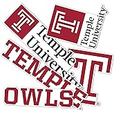 Desert Cactus Temple University Sticker TU Owls Sticker Vinyl Decals Laptop Water Bottle Car Scrapbook Sheet (Type 2)