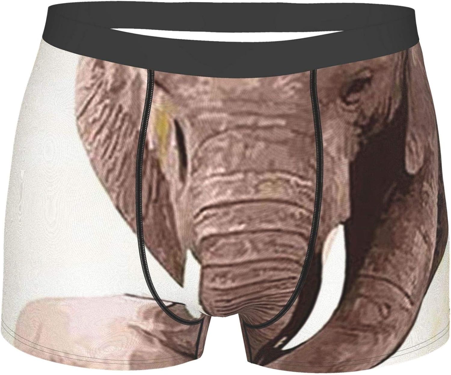 Elephant Mother with Her Baby Mens Breathable Boxer Briefs Soft Stretch
