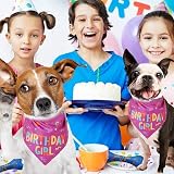 Pejlnd Dog Birthday Bandana Pink 79x32cm Large 5-25kg Birthday Party Scarf view 5