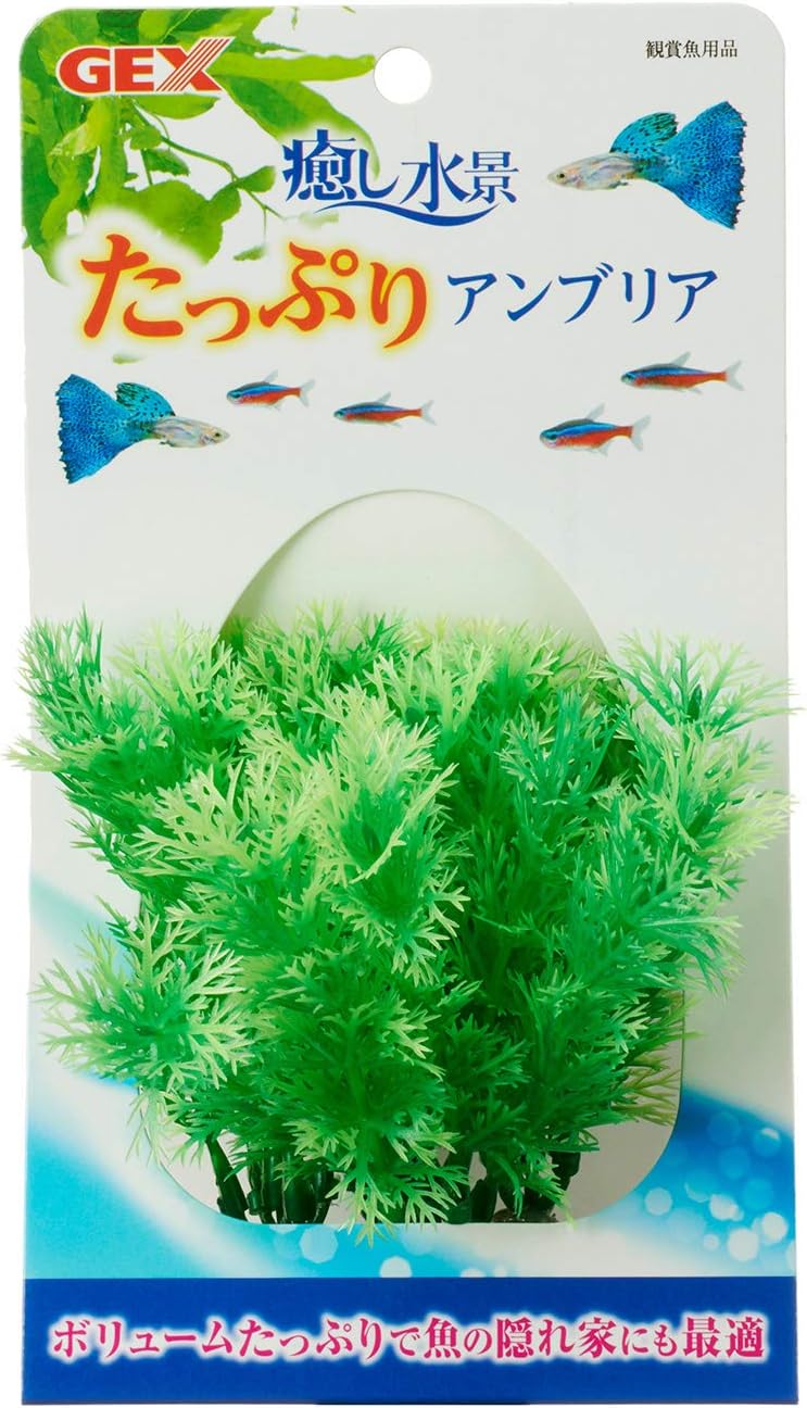 ジェックス 癒し水景 たっぷり アンブリア ジェックス ペット用品 通販 Amazon