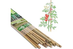 RONGJIA Strong Bamboo Stakes, Multi-Purpose Bamboo Plant Support Stakes, Best Garden Stakes Decoration for Tomato, Bean, Flowers,Trees Potted and Climbing Plant Support (16 inch, Pack of 25)