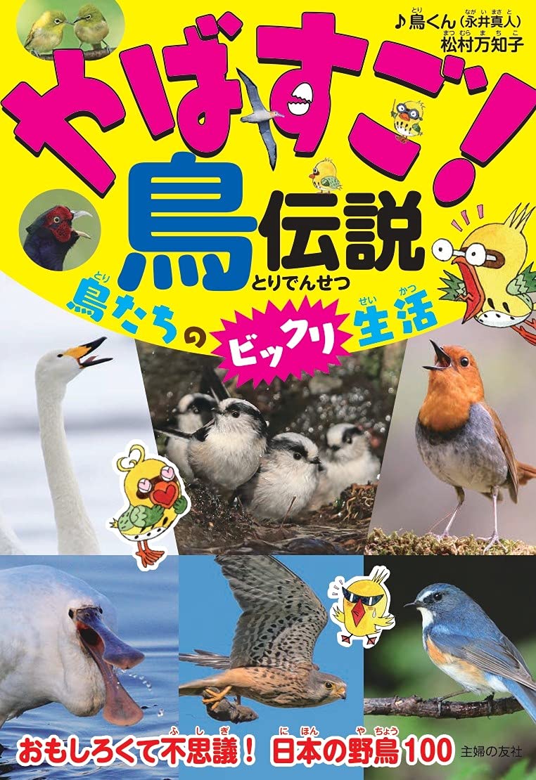 やばすご 鳥伝説 鳥たちのビックリ生活 鳥くん 永井 真人 松村 万知子 本 通販 Amazon