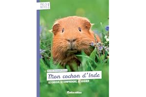 Mon cochon d'Inde: Le choisir, le comprendre, le soigner (Pas si bêtes !) (French Edition)