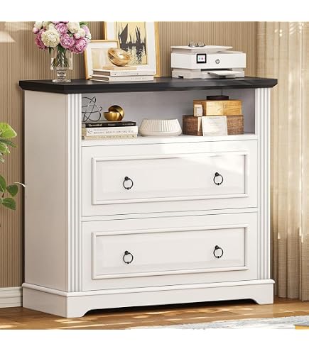 Amazon.com: Bush Home Westbrook 2 Drawer Lateral File Cabinet in