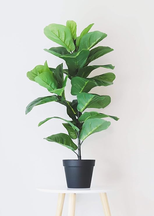 Amazon Com Afloral Fake Fiddle Leaf Fig Tree Floor Plant In Pot