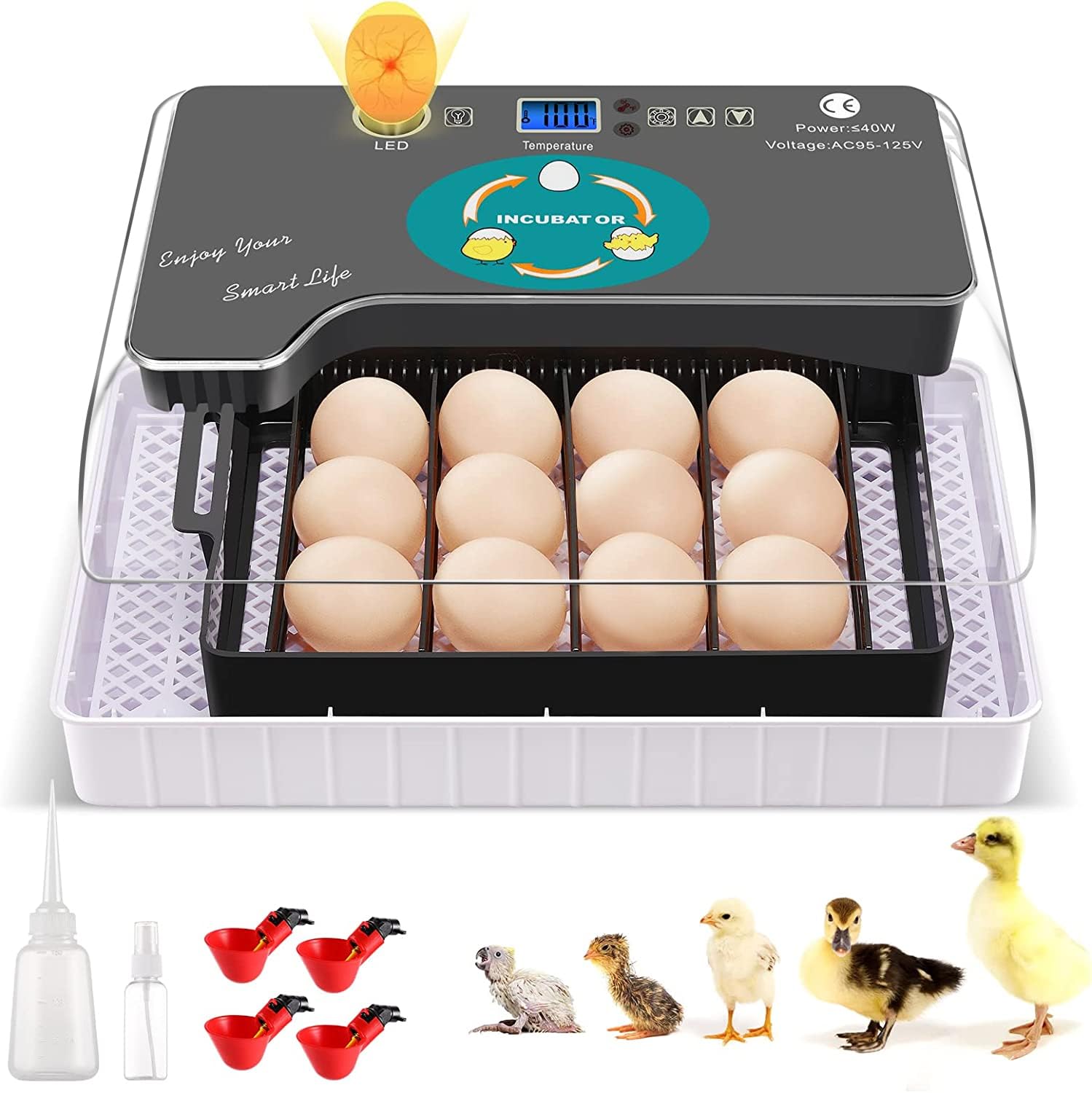 Mua Egg Incubator, 9-15 Eggs Fully Automatic Poultry Hatcher Machine ...