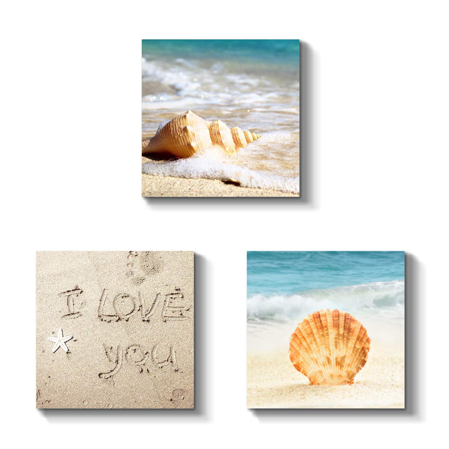 TAR TAR STUDIO Beach Seashell Canvas Wall Art: Seaside Conch Picture Seascape Painting Artwork for Bathroom (12'' x 12'' x 3 PCS, Multiple Style)