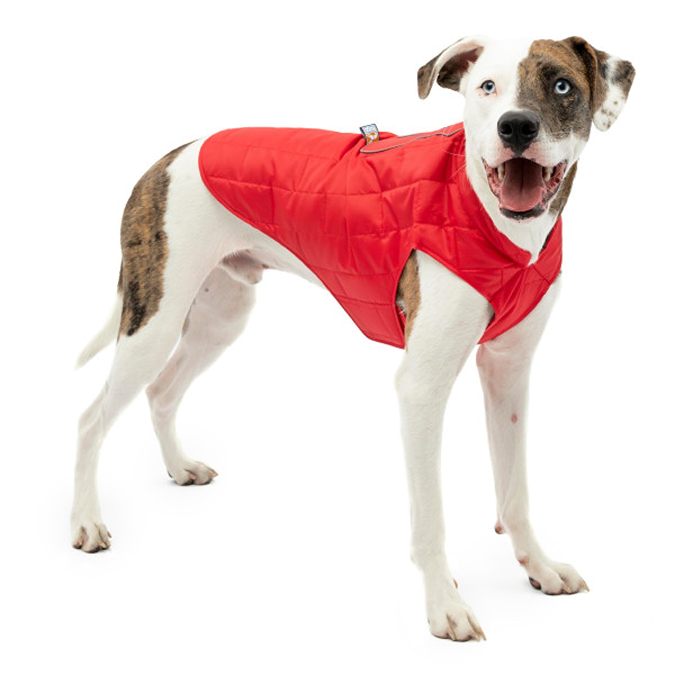 Kurgo Loft Dog Jacket, Reversible Dog Coat for Cold Weather, Red/Grey, X-Large โ image 1