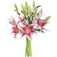 KaBloom PRIME NEXT DAY DELIVERY - Mother’s Day Collection - Sailor's Sunset Bouquet of 5 Fresh Pink Lilies|Gift for Birthday, Anniversary, Get Well, Easter, Valentine, Mother’s Day Fresh Flowers