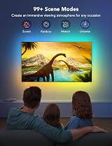 Govee TV LED Backlight 3.8M RGBIC for 55-65 inch TV Bluetooth Wi-Fi Alexa Google view 5