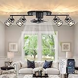 Garwarm Ceiling Fans with Lights and