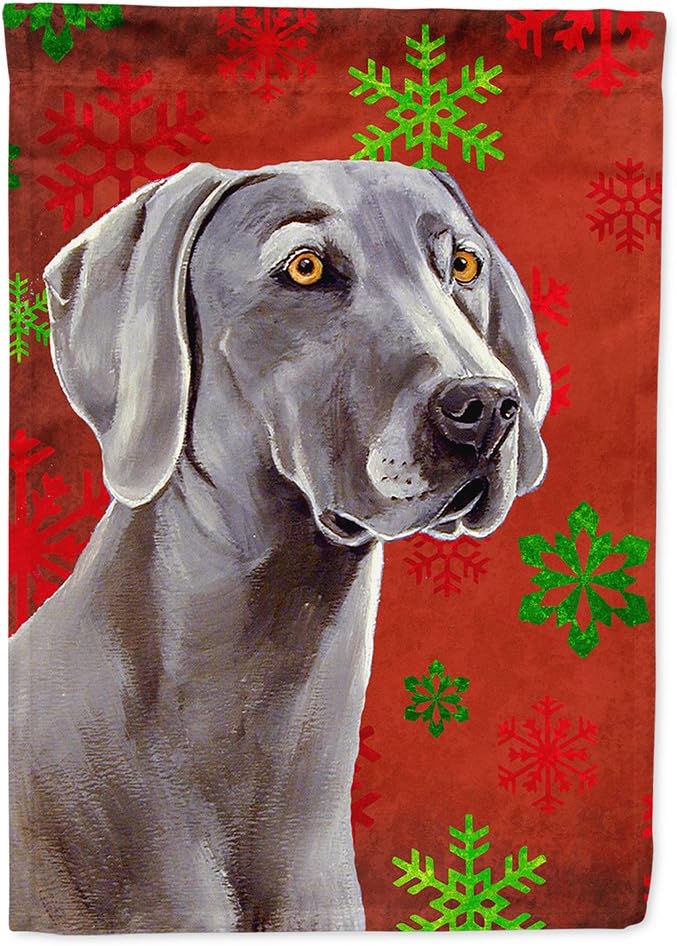 red weimaraner
