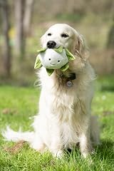 Petface Foodie Faces Cauliflower Plush Dog Toy with Squeaker view 7