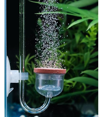Acrylic CO2 Diffuser With Check Valve Clscea Mini CO2 Diffuser For ...